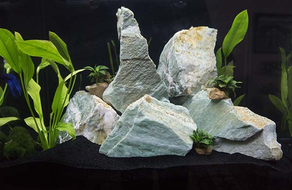 Photograph of Innovative Marine Nuvo Fusion 40 rimless aquarium.